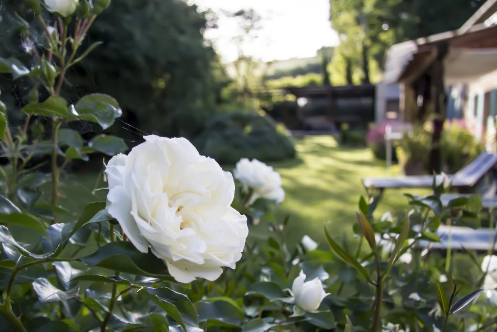 B&B I Fiori Della Cava 佩萨罗 外观 照片